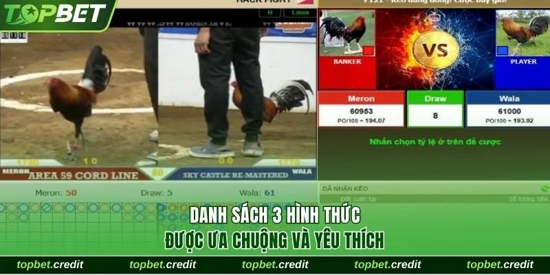 Đá Gà 3 Danh sách 3 hình thức được ưa chuộng và yêu thích