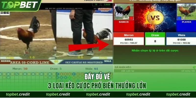 Đá Gà 4 Đầy đủ về 3 loại kèo cược phổ biến thưởng lớn