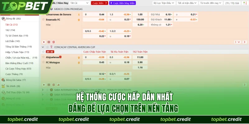 Thể thao 4 Hệ thống cược hấp dẫn nhất đáng để lựa chọn trên nền tảng