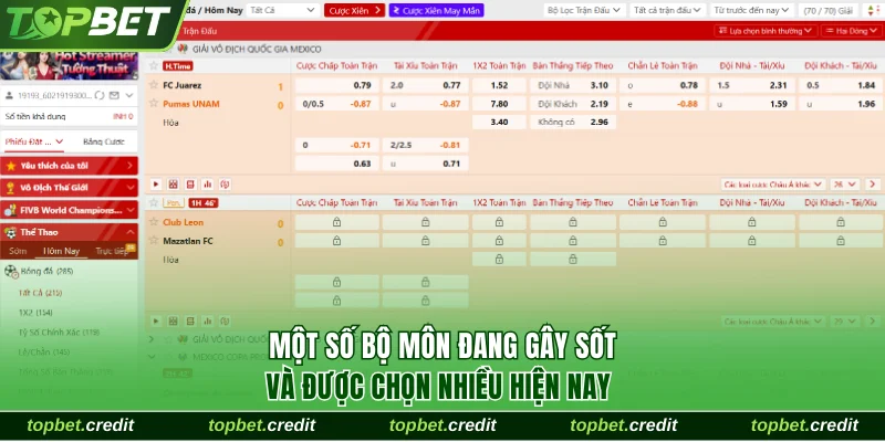 Thể thao 1 Các lợi thế hấp dẫn đáng kể của mục thể thao TopBet