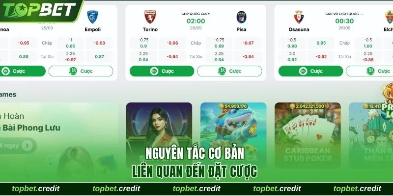 Điều Khoản & Điều Kiện 2 Nguyên tắc cơ bản liên quan đến đặt cược