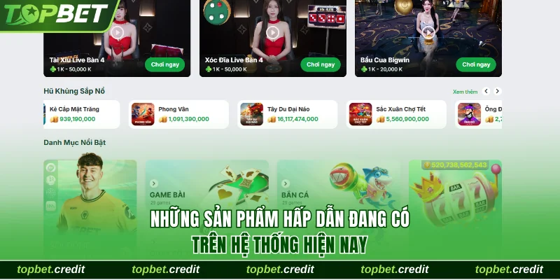 Thể thao 3 Một số bộ môn đang gây sốt và được chọn nhiều hiện nay