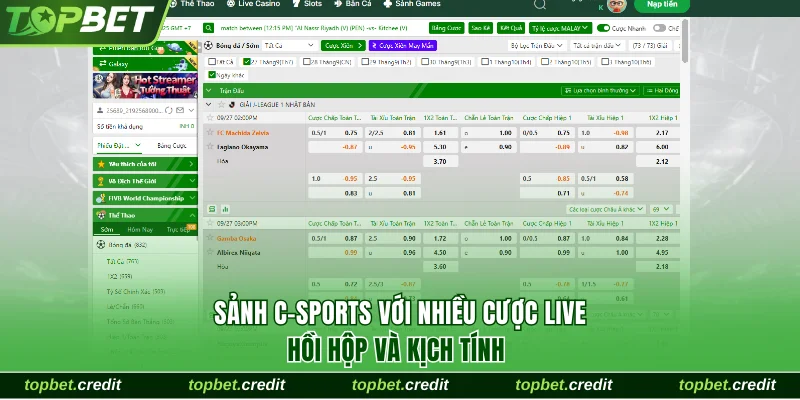 Thể thao 2 Sảnh C-Sports với nhiều cược live hồi hộp và kịch tính